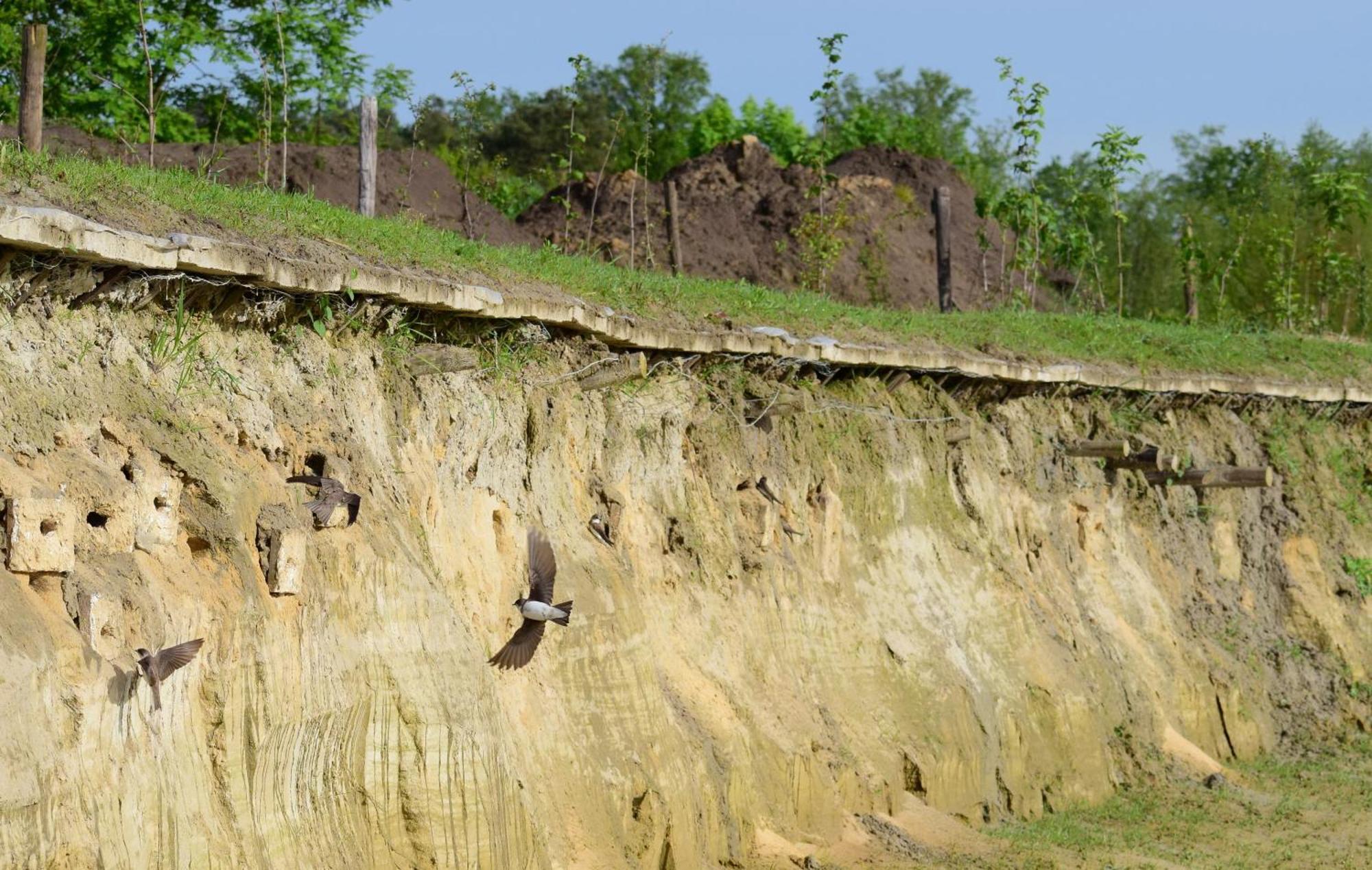 Hoeve Twente - De Buizerd Villa Heythuysen Ngoại thất bức ảnh